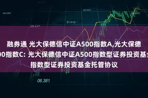 融券通 光大保德信中证A500指数A,光大保德信中证A500指数C: 光大保德信中证A500指数型证券投资基金托管协议